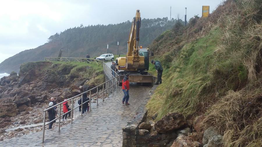 La playa de Arenal de Morís fue testigo de un ejemplar de este cetáceo de 18 metros de longitud, cuyo cadáver fue encontrado en el arenal