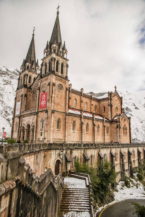 Las nevadas de los últimos días han llegado también hasta Covadonga que se ha cubierto de un manto blanco. Muchos turistas se han acercado hasta el Real Sitio para ver y fotografiar la estampa