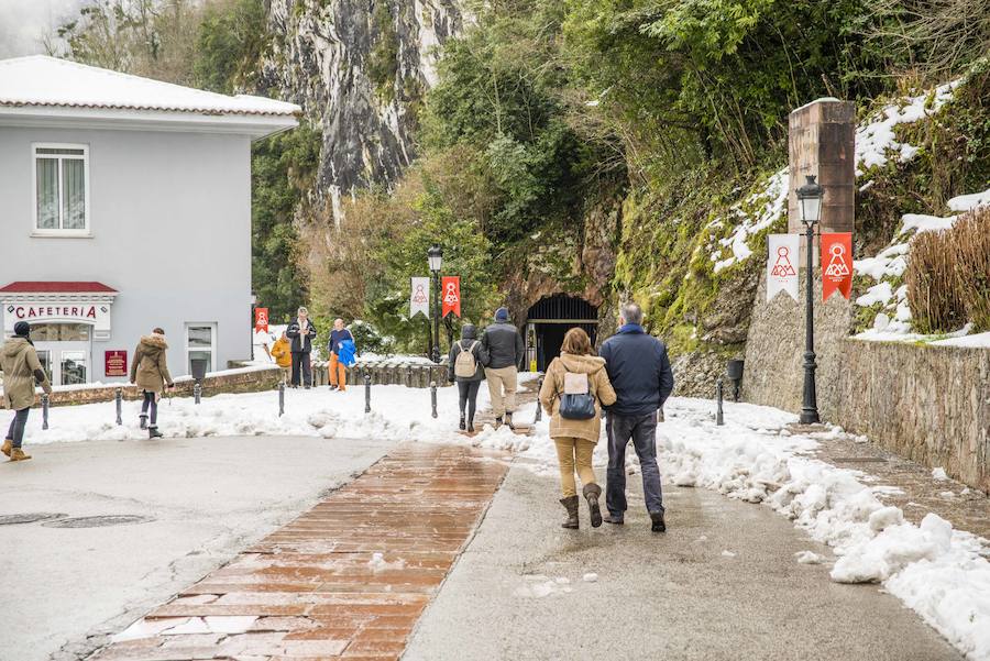 Las nevadas de los últimos días han llegado también hasta Covadonga que se ha cubierto de un manto blanco. Muchos turistas se han acercado hasta el Real Sitio para ver y fotografiar la estampa