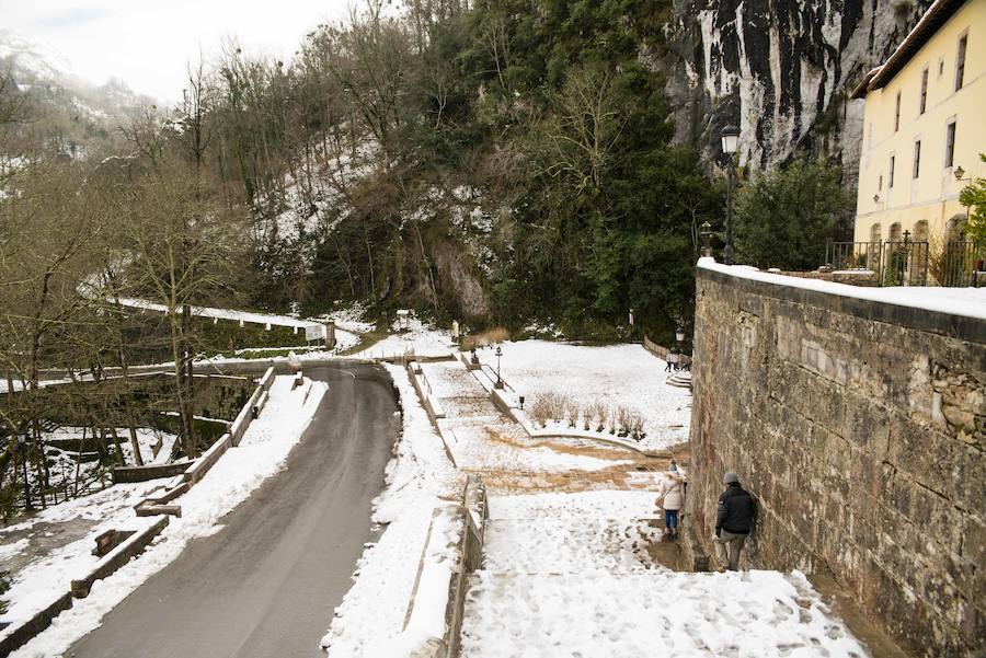 Las nevadas de los últimos días han llegado también hasta Covadonga que se ha cubierto de un manto blanco. Muchos turistas se han acercado hasta el Real Sitio para ver y fotografiar la estampa