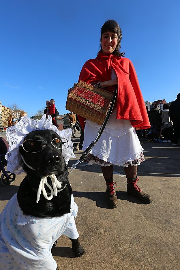 Concurso de mascotas disfrazadas celebrado el año pasado. 