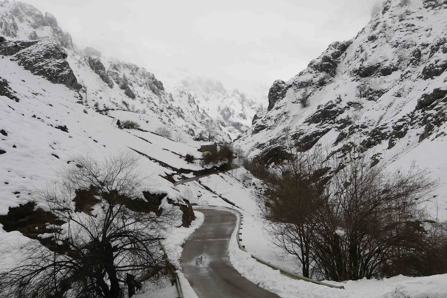 Vuelve el frío a Asturias