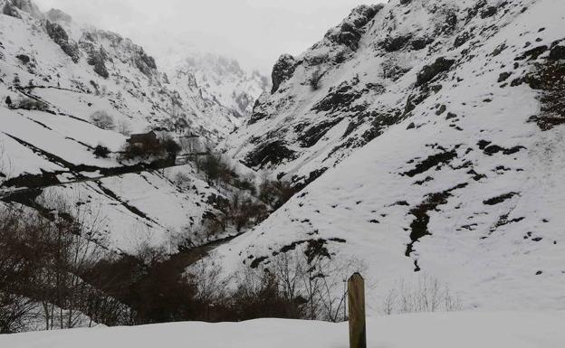 Imagen. La nieve cubre de blanco el Oriente asturiano.