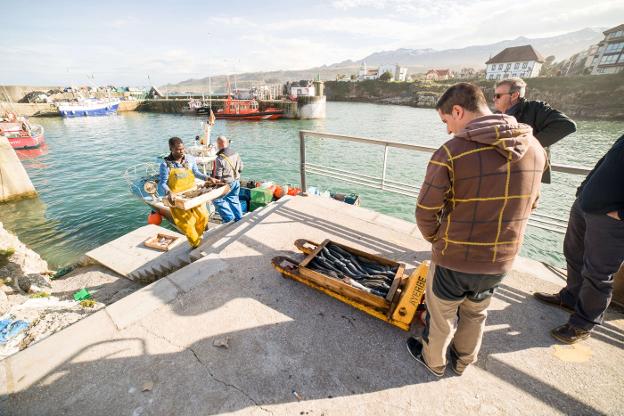 Varios pescadores descargan las capturas del día en el puerto llanisco, que fue dragado a finales del pasado año. 