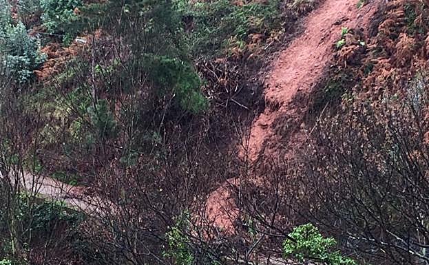 El argayo que bloqueó la senda peatonal ya está retirado. 