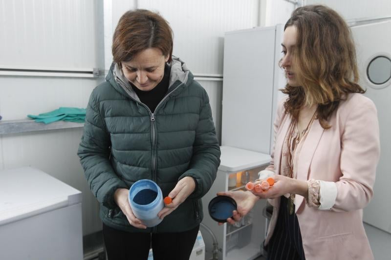 La alcaldesa de Gijón, Carmen Moriyón, y varios representantes municipales han visitado las instalaciones de la empresa Neoalgae, dedicada a la fabricación de diferentes productos a partir de algas.