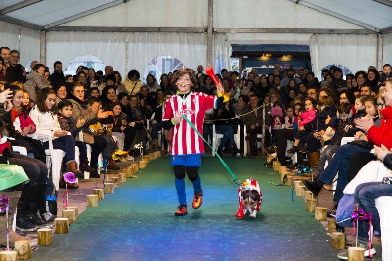 El antroxu cangués disfrutó de un divertido desfile en el que los perros pasearon divertidos atuendos.