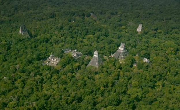 La megalópolis maya Tikal, en medio de la selva 