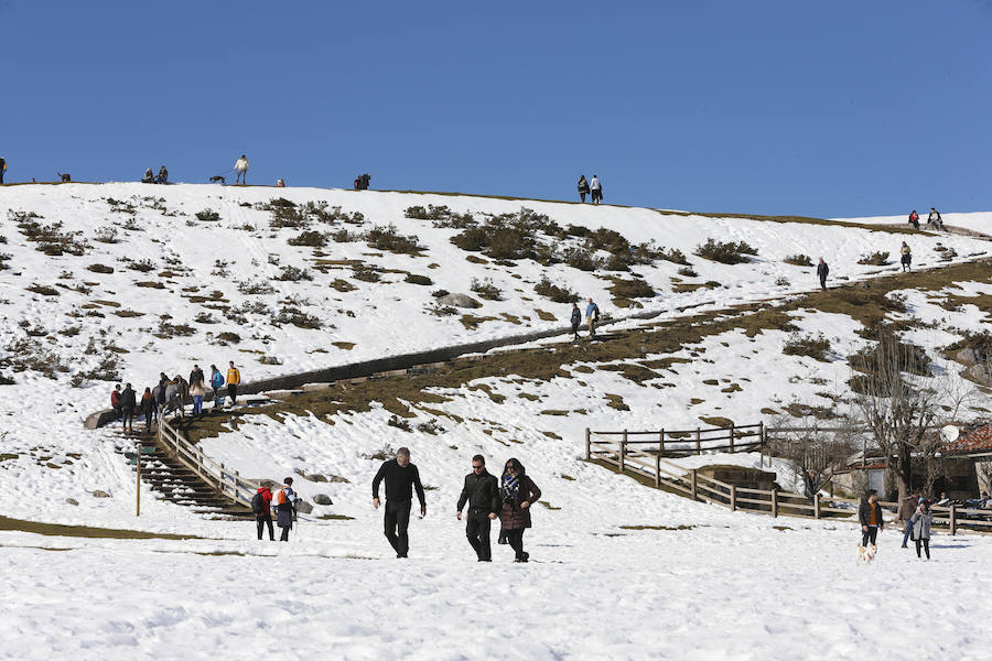 De Oriente a Occidente, el Principado ha disfrutado este sábado de un espléndido día para contemplar el paisaje o practicar deportes de invierno. 