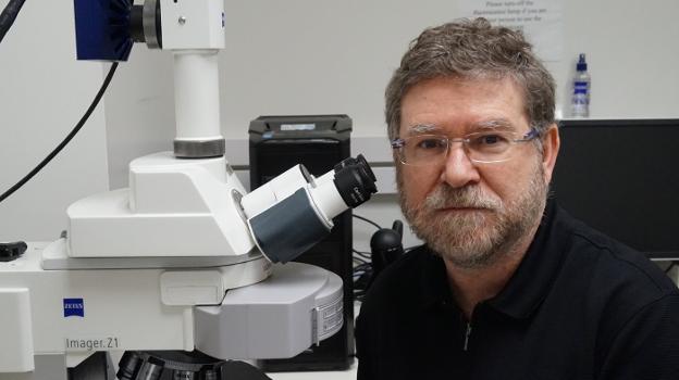 Juan Fueyo, en uno de los laboratorios del M. D. Anderson Center. 