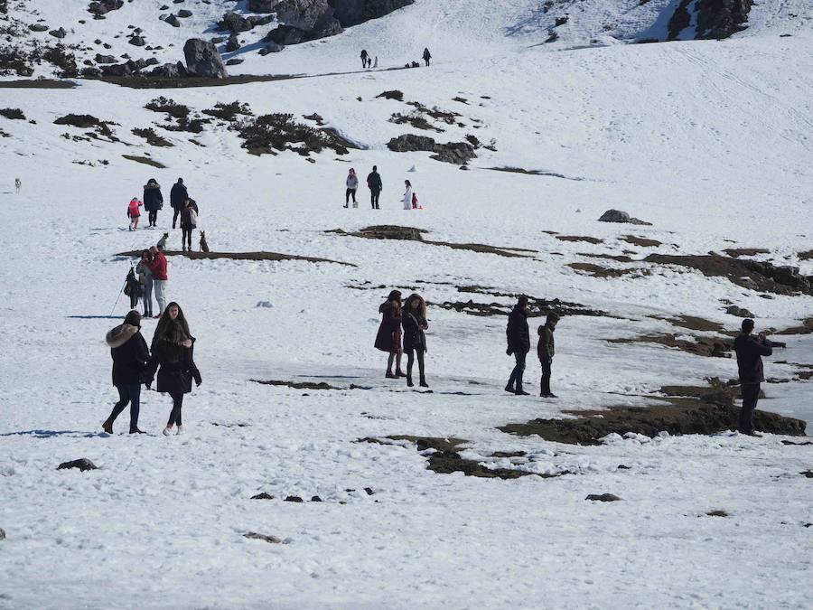 Fotos: La belleza helada de los lagos de Covadonga