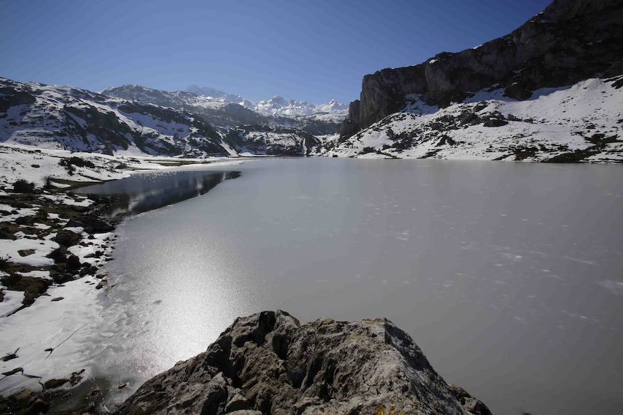 Fotos: La belleza helada de los lagos de Covadonga