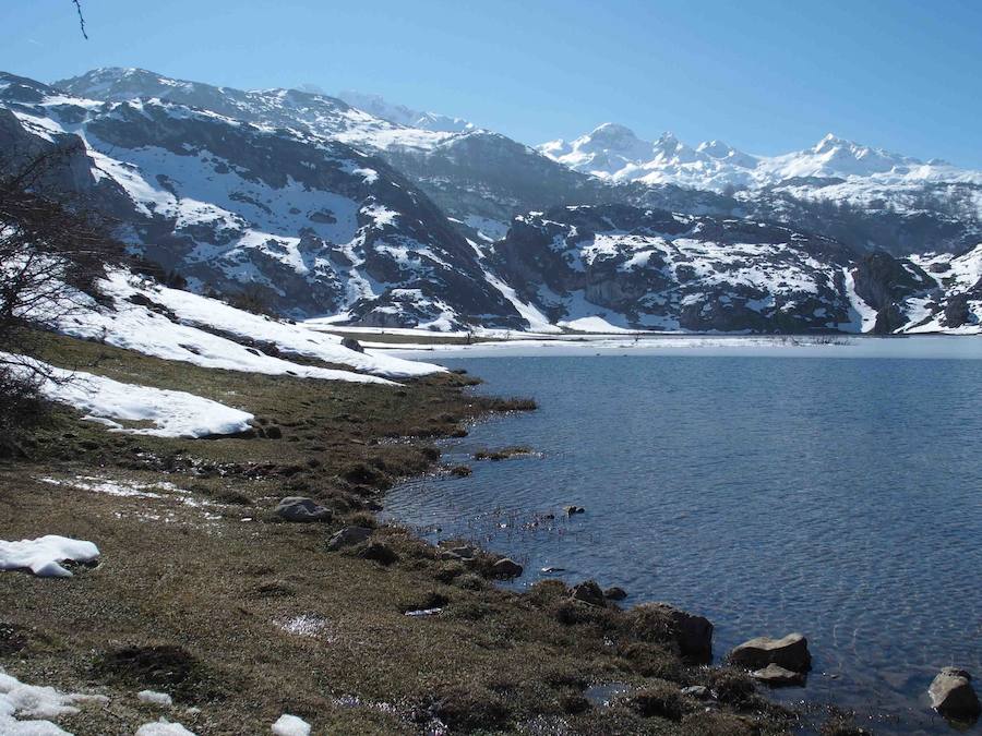 Fotos: La belleza helada de los lagos de Covadonga