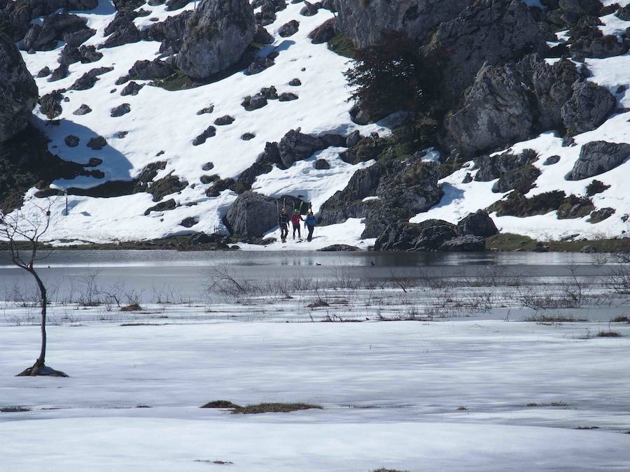 Fotos: La belleza helada de los lagos de Covadonga