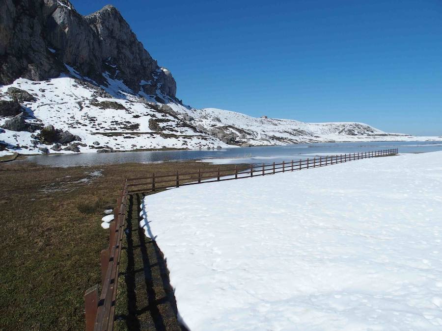 Fotos: La belleza helada de los lagos de Covadonga