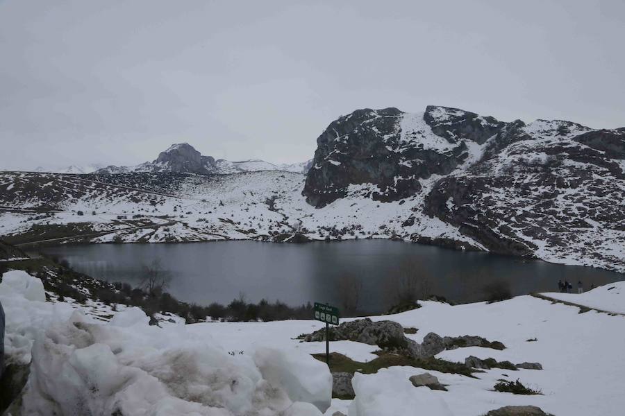 Fotos: Asturias se protege del frío siberiano