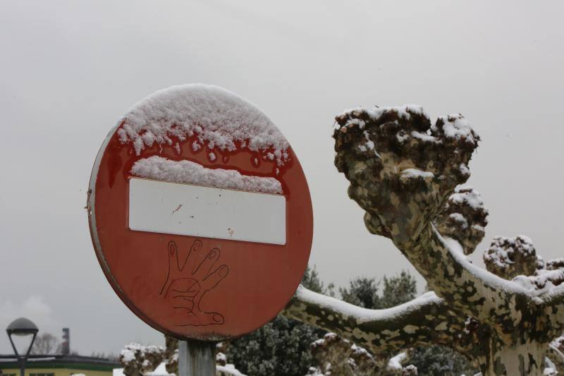 Fotos: La nieve llega a la comarca de Avilés