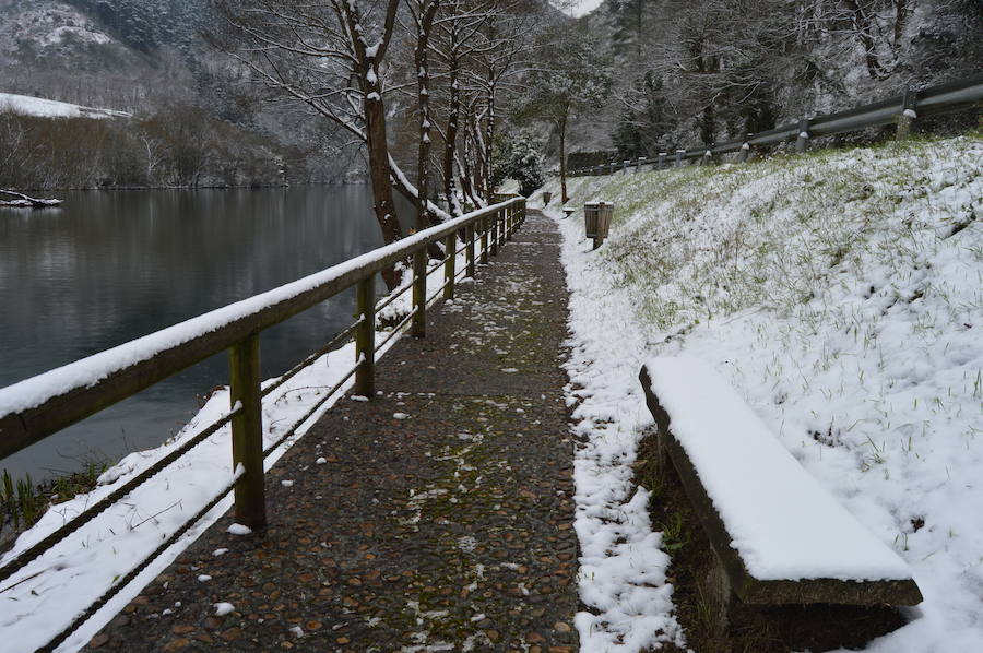 Fotos: El occidente asturiano amanece bajo un manto blanco