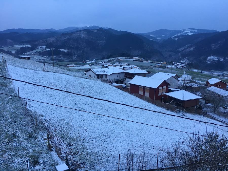 Fotos: El occidente asturiano amanece bajo un manto blanco
