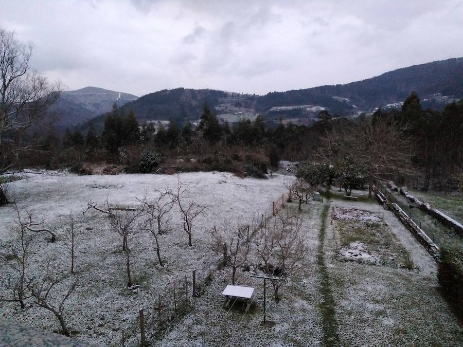 Fotos: El occidente asturiano amanece bajo un manto blanco