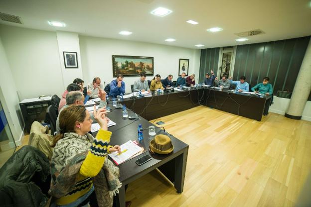 Momento de la votación en el pleno de Ribadesella. 