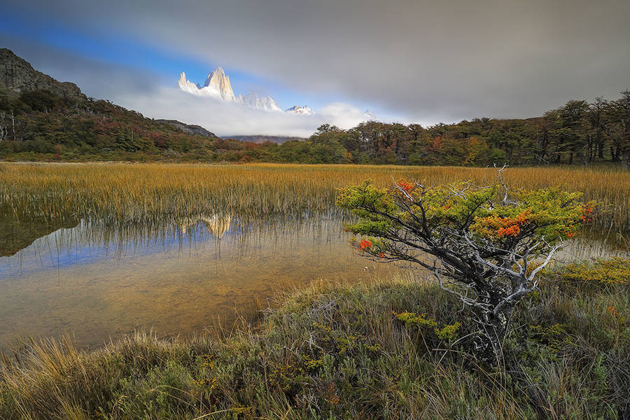 APPEARENCE - Ganador Paisaje de Montaña