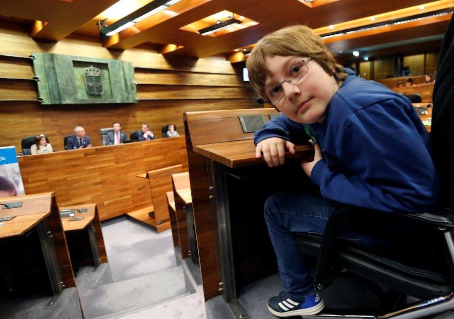 Un total de 75 alumnos de Primaria de Gijón y Mieres han participado en un pleno infantil organizado por Aldeas Infantiles SOS España en la Junta General. El programa 'Diputados por un día' está dirigido a evitar la violencia y el aislamiento infantil. 
