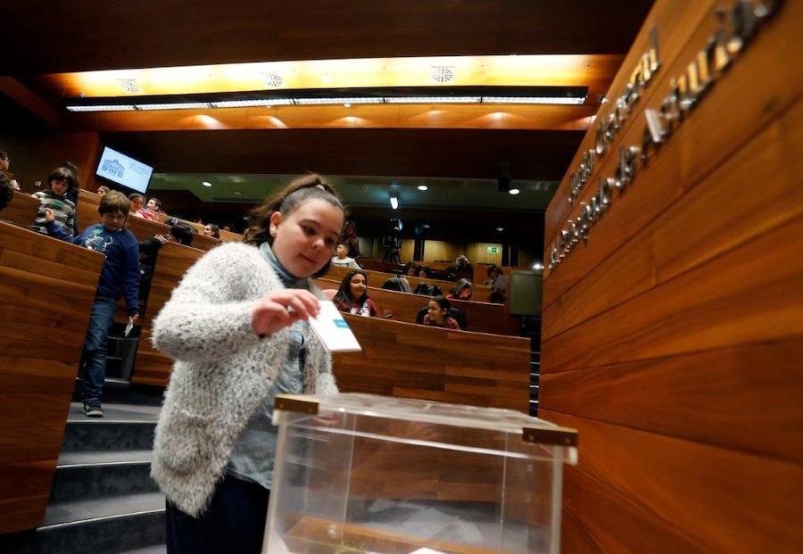 Un total de 75 alumnos de Primaria de Gijón y Mieres han participado en un pleno infantil organizado por Aldeas Infantiles SOS España en la Junta General. El programa 'Diputados por un día' está dirigido a evitar la violencia y el aislamiento infantil. 