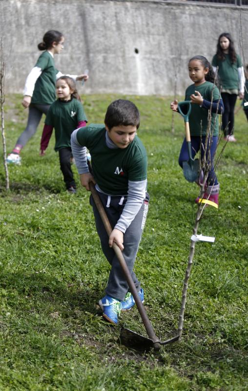 Decenas de alumnos de Primaria de Oviedo han participado en una plantación de árboles enmarcada en una jornada de sensibilización ambiental organizada por la corporación Masaveu. Los árboles, todos de especies autóctonos, repoblarán un terreno próximo a la fábrica de cemento. En la actividad han participado Alicia Castro Masaveu y el alcalde de Oviedo, Wenceslao López.