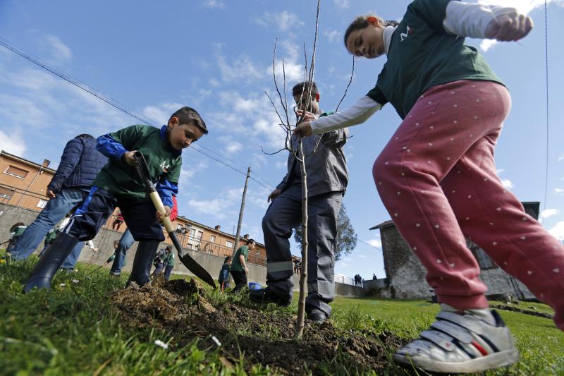 Decenas de alumnos de Primaria de Oviedo han participado en una plantación de árboles enmarcada en una jornada de sensibilización ambiental organizada por la corporación Masaveu. Los árboles, todos de especies autóctonos, repoblarán un terreno próximo a la fábrica de cemento. En la actividad han participado Alicia Castro Masaveu y el alcalde de Oviedo, Wenceslao López.