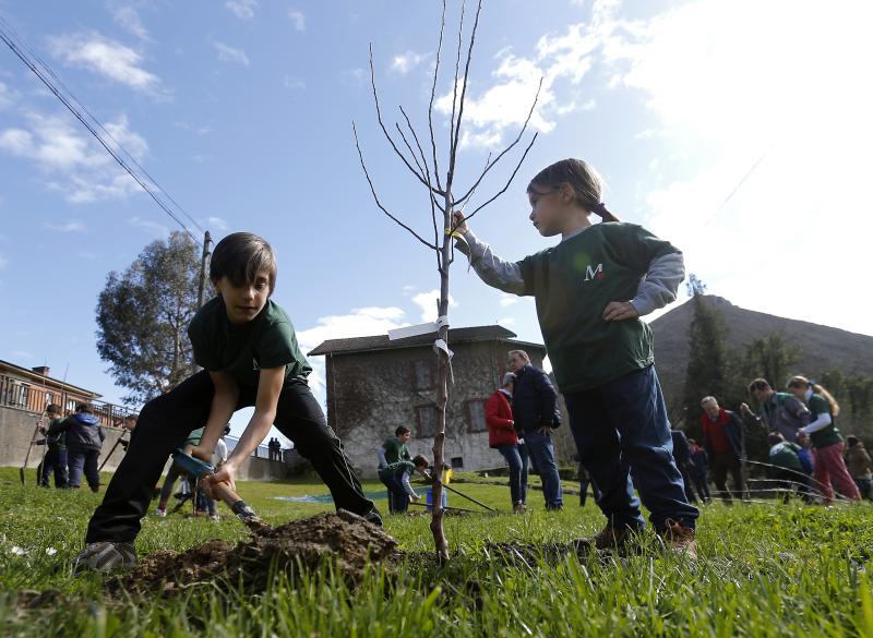 Decenas de alumnos de Primaria de Oviedo han participado en una plantación de árboles enmarcada en una jornada de sensibilización ambiental organizada por la corporación Masaveu. Los árboles, todos de especies autóctonos, repoblarán un terreno próximo a la fábrica de cemento. En la actividad han participado Alicia Castro Masaveu y el alcalde de Oviedo, Wenceslao López.