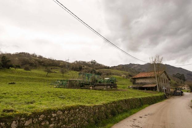 Finca adquirida en Panes para construir la residencia. 