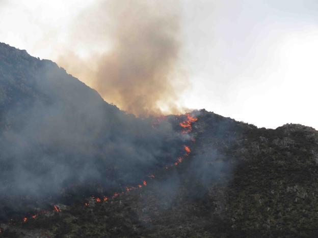 Incendio forestal en la sierra de Santianes