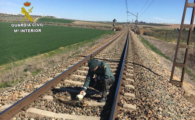 Un agente de la Guardia Civil, examinando el cadáver de un animal.