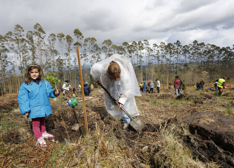 Fotos: El día de los Bosques trae nuevos árboles para el Monte Deva