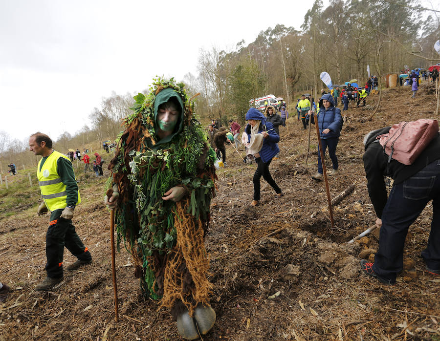 Fotos: El día de los Bosques trae nuevos árboles para el Monte Deva