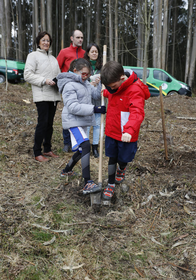 Fotos: El día de los Bosques trae nuevos árboles para el Monte Deva