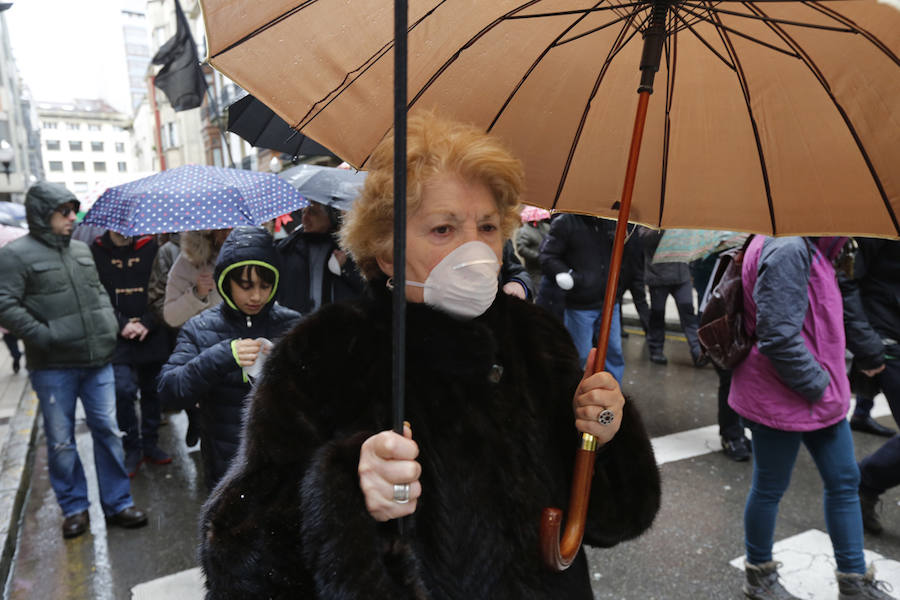 Fotos: Miles de personas se concentra en Gijón contra la contaminación en Asturias