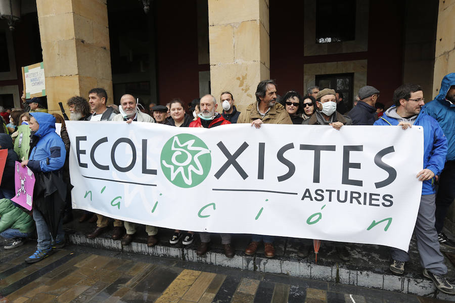 Fotos: Miles de personas se concentra en Gijón contra la contaminación en Asturias