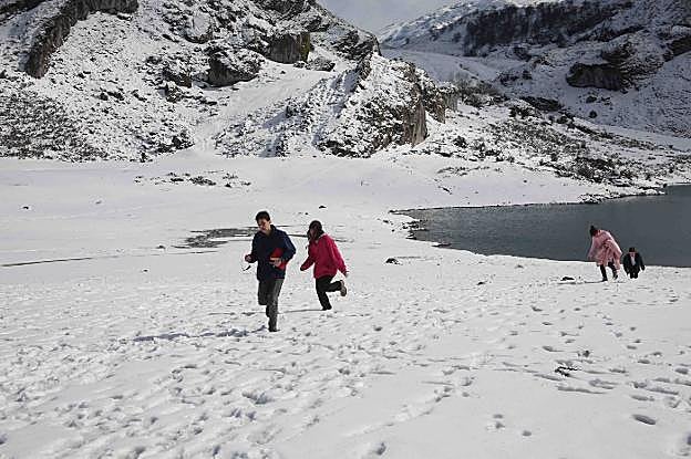 Los Lagos de Covadonga, en la imagen el Ercina, amanecieron cubiertos de nieve. 