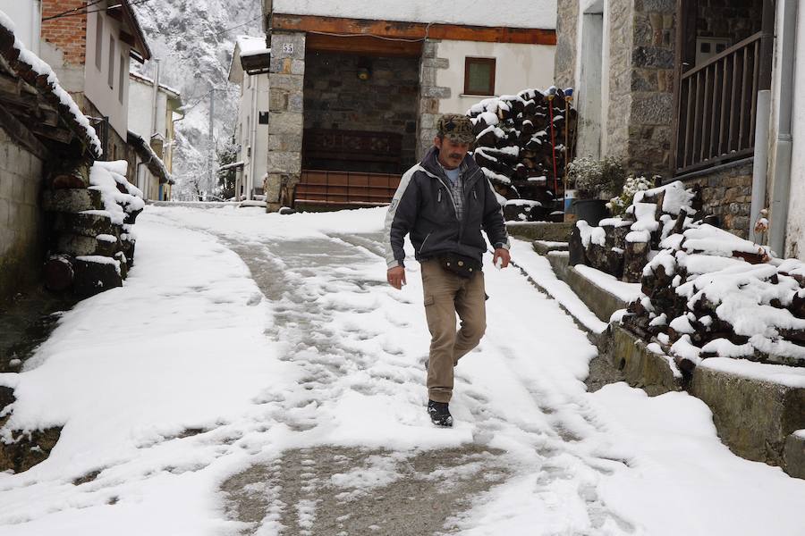 Un temporal de nieve cubre Asturias de blanco a pocas horas de la llegada de la primavera. La comarca de Picos de Europa se encuentra en alerta roja por nevadas que pueden dejar espesores de hasta cuarenta centímetros, mientras que en Suroccidente y Valles Mineros se esperan acumulaciones cercanas a los veinte centímetros.