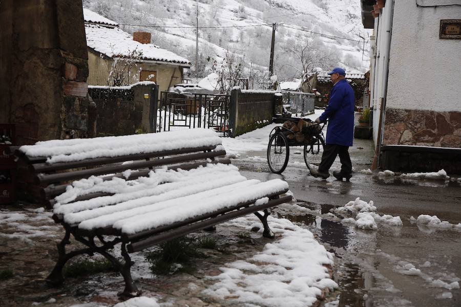 Un temporal de nieve cubre Asturias de blanco a pocas horas de la llegada de la primavera. La comarca de Picos de Europa se encuentra en alerta roja por nevadas que pueden dejar espesores de hasta cuarenta centímetros, mientras que en Suroccidente y Valles Mineros se esperan acumulaciones cercanas a los veinte centímetros.