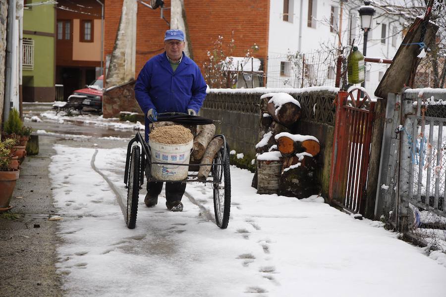 Un temporal de nieve cubre Asturias de blanco a pocas horas de la llegada de la primavera. La comarca de Picos de Europa se encuentra en alerta roja por nevadas que pueden dejar espesores de hasta cuarenta centímetros, mientras que en Suroccidente y Valles Mineros se esperan acumulaciones cercanas a los veinte centímetros.