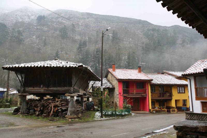 A pocas horas para la llegada de la primavera, gran parte de Asturias está cubierta por un manto blanco. La nieve complica la circulación en muchas carreteras. Incluso en la autopista del Huerna, que ha estado cerrada a camiones durante varias horas. Donde no nieva, la lluvia y el frío son protagonsitas de la jornada. 