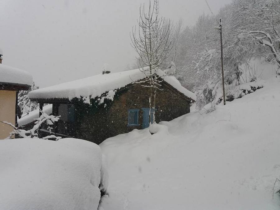 Fotos: Medio metro de nieve en los pueblos del Oriente asturiano