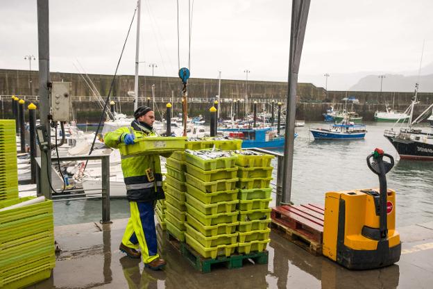Un pescador carga cajas de xarda en el puerto de Lastres. 