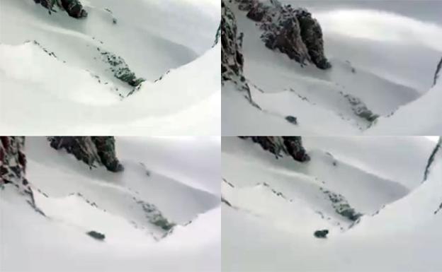 Las asombrosas imágenes de un oso en la nieve de Somiedo