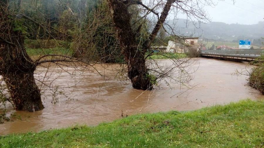 Las intensas precipitaciones han inundado varias calles del centro de Villaviciosa y han obligado a suspender el encuentro entre el Lealtad y el Mirandés, ya que el campo está completamente anegado.