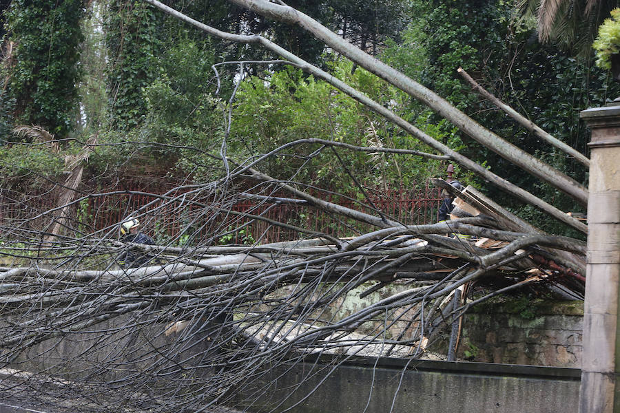 Las intensas y constantes lluvias de este domingo han ocasionado inundaciones en varios puntos del Principado, que ha activado el nivel de prealerta en fase 2