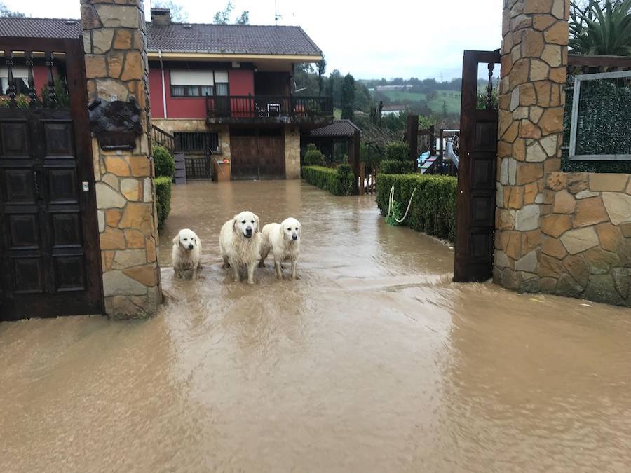 Las intensas y constantes lluvias de este domingo han ocasionado inundaciones en varios puntos del Principado, que ha activado el nivel de prealerta en fase 2